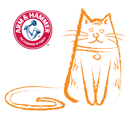 Sitting cat animation