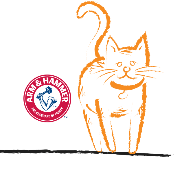 Walking cat animation